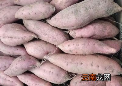 红薯到底早上吃好还是晚上吃好