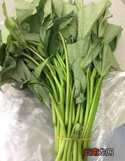 红薯叶怎么炒好吃