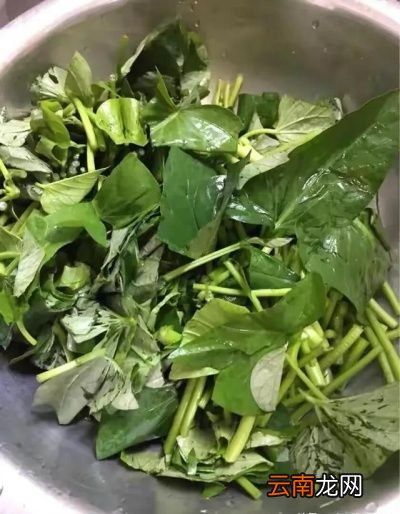 红薯叶怎么炒好吃