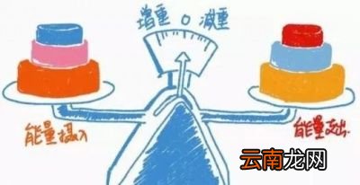 吃米饭为何不利于减肥