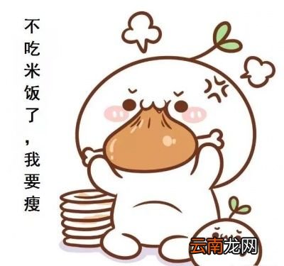 “九姑娘啊减肥是不是一定要少吃米饭