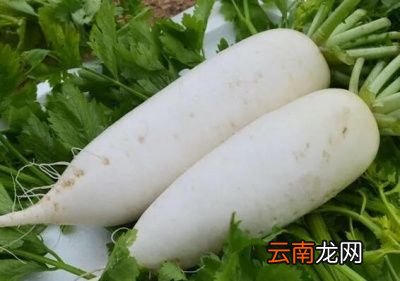 储存萝卜出现空心的原因
