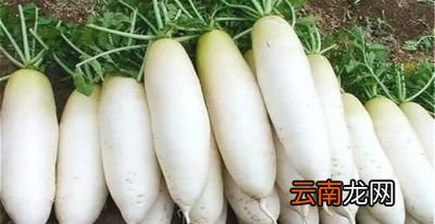 储存萝卜出现空心的原因