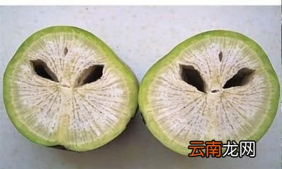 储存萝卜出现空心的原因