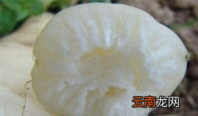 白萝卜空心原因是多方面的