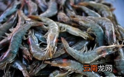 虾滑制作方法——口感爽脆Q弹制作简单