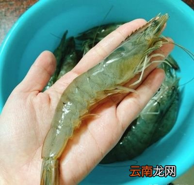 虾滑怎么做呢