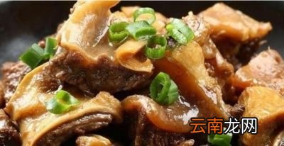 牛腩和什么搭配最好吃