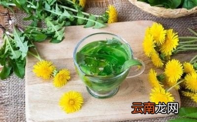 蒲公英晒干了泡水喝有什么好处