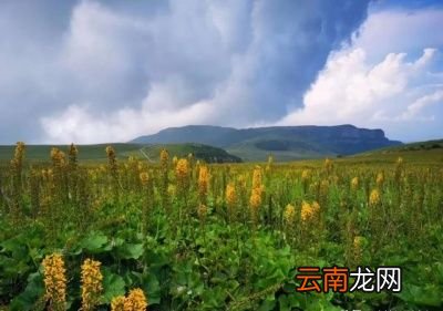 且看“秋分西北风腊月冬不净”什么意思