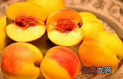 ——做桃罐头为什么大都用黄桃而不用别的桃