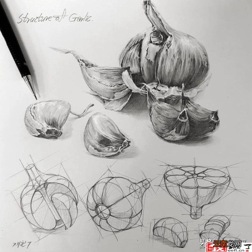 学画铅笔画 如何画