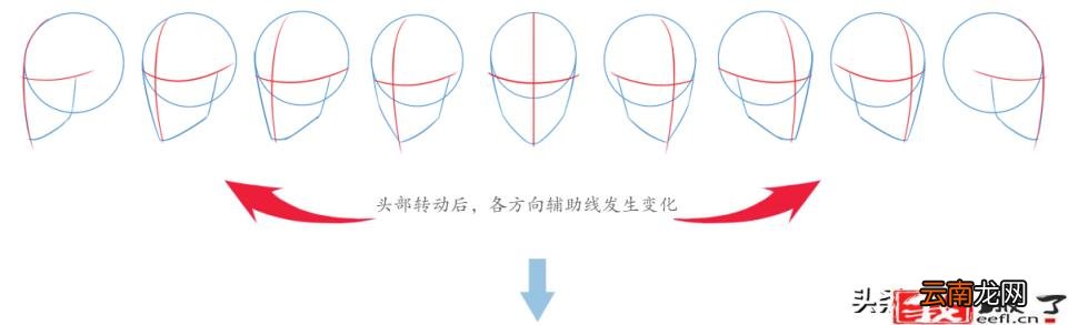 学画铅笔画 如何画