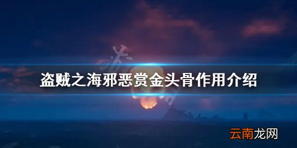 盗贼之海邪恶赏金头骨有什么用 邪恶赏金头骨作用介绍