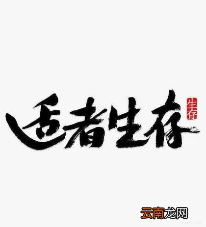 中国数字货币交易所 如何交易数字货币