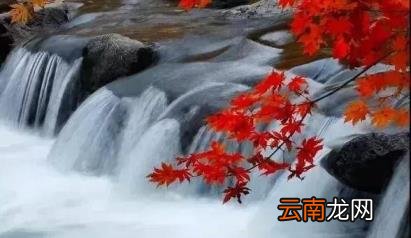 营业执照复印件盖章盖在什么位置 如何盖骑缝章