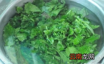 炒南瓜叶的做法