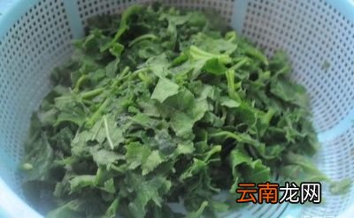 炒南瓜叶的做法
