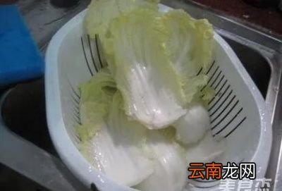 白菜馅饺子的做法步骤