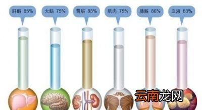 晚上就不能喝水了吗几点以后不能喝
