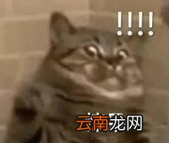 为什么白发不会越拔越多