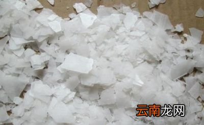 猪圈有猪用烧碱对猪有害吗为什么