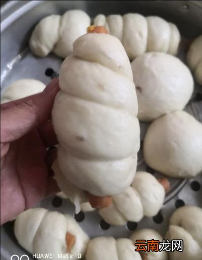 家里包了包子还需要煮其他菜吗