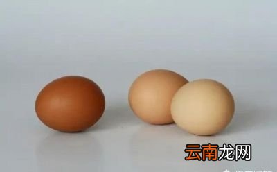 鸡蛋识别公母有什么好处