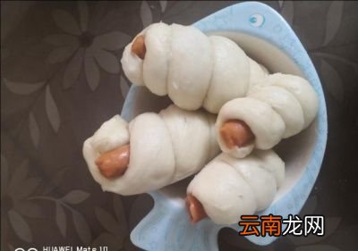 家里包了包子还需要煮其他菜吗