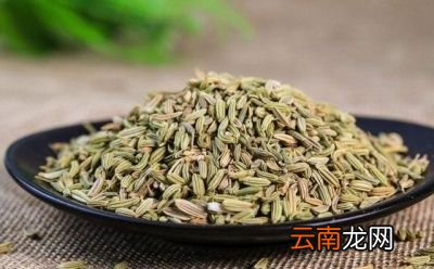 羊肉怎么炖最好吃