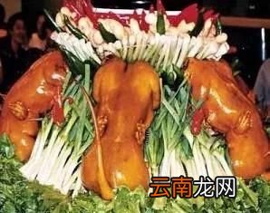 狗肉好吃在哪里