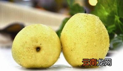 炖梨买什么样的梨