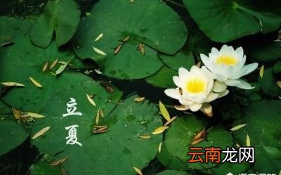 立夏倒底是下雨好还是不下雨好