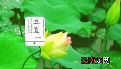 “立夏不下雨犁耙高挂起”何解