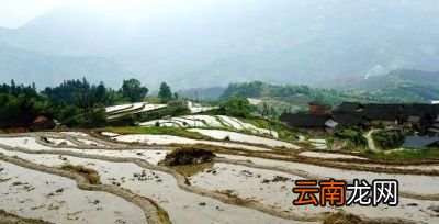 “立夏不下雨犁耙高挂起”何解