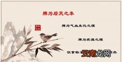 经常喝啤酒好吗