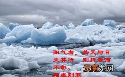 经常喝啤酒好吗