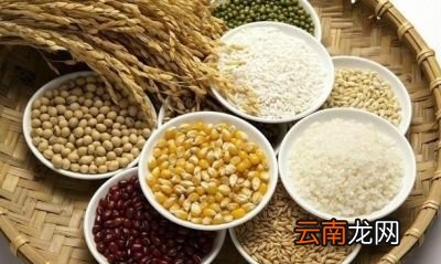 各种淀粉的介绍与用途