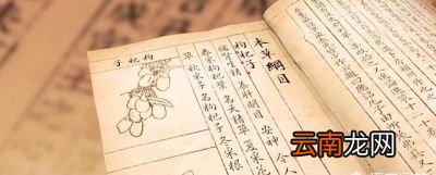 大枸杞好还是小枸杞好