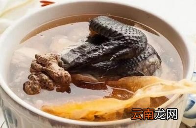 三七根炖鸡真的能吃吗怎样吃三七才科学
