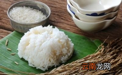为什么有的人长期不吃主食