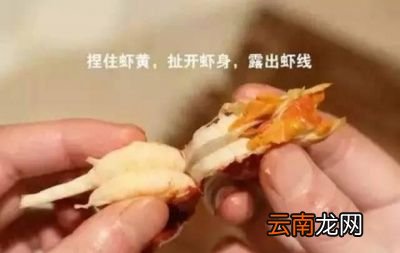 小龙虾是虫子吗