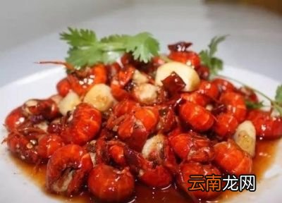 小龙虾是虫子吗