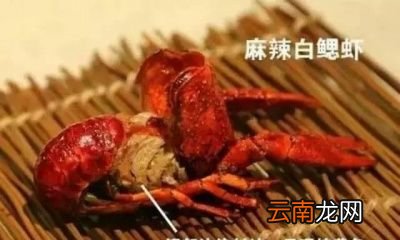 小龙虾是虫子吗