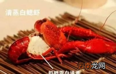 小龙虾是虫子吗