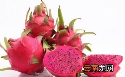 红心火龙果和白心火龙果有何区别