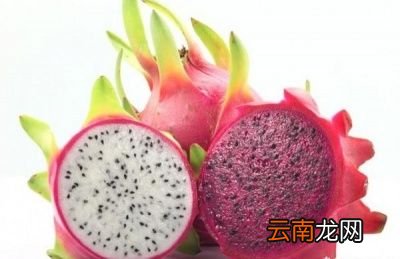 红心火龙果和白心火龙果有何区别