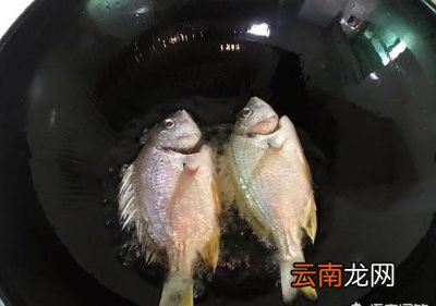 煎鱼热油还是冷油呢