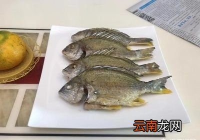 煎鱼热油还是冷油呢