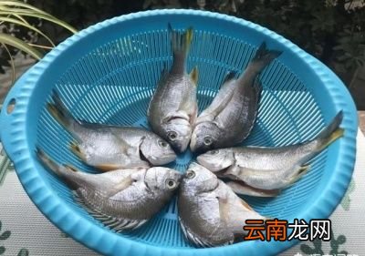 煎鱼热油还是冷油呢